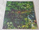 RARE James Blackshaw - Holly EP (vinyl Important Records jack rose John fahey lp