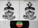 FLOWER TRAVELLIN' BAND SATORI ATLANTIC P-8056A Japanese Pressing POKORA Vinyl LP