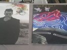 2 Panic at the Disco Vinyl Records Too Weird to Die Death of a Bachelor Punk