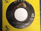 HEAR IT POPCORN Jesse Pearson RCA 8283 I Got a Feelin I'm Fallin