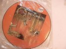 SLAYER - HELL AWAITS - PICTURE DISC - NM-  RECORD