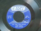 JERRY LANDIS The Lone Teen Ranger AMY listen PAUL SIMON