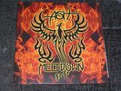 ASH - MELTDOWN VINYL LP