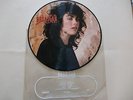 Laura Branigan, Self Control, Mexican Edition . Rare  Vinyl  Picture Disc 
