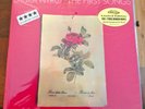 LAURA NYRO THE FIRST SONGS NO. 544 AUDIO FIDELITY LP  AUDIOPHILE   180 GRAM