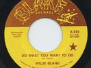 HEAR - Rare Soul / Funk 45 - Willie Eiland - Do What You Want To Do- Blake 2-255
