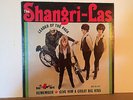 SHANGRI-LAS, LEADER OF THE PACK, FIRST PRESS ORIGINAL LP, 1965