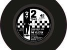 Ska 2 Tone Exterior Vinyl 10