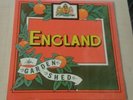 ENGLAND Garden Shed UK vinyl LP EX+/EX+ 1977 Prog Arista