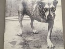LP ALICE IN CHAINS DOUBLE VINYL G/FOLD  1995.
