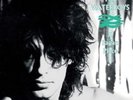 THE WATERBOYS - A PAGAN PLACE  VINYL LP NEW