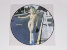 Madonna - Rare Moments Vol 5 - Demos Picture Disc Vinyl LP MINT Erotica Sex