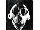 Controlled Bleeding - Distress Signals I [New Vinyl LP] Gray