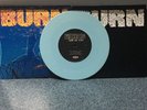 Burn From The Ashes #21/210 Vinyl Gorilla Biscuits Judge Have Heart Bane