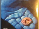 Coldplay - The Blue Room EP 2x 7