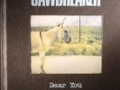 JAWBREAKER - Dear You (reissue) - Vinyl (LP)