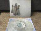 toyGuitar Move Like A Ghost clear lp lagwagon nofx against me rancid dead to me