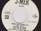 Johnny Jackson & The Blazers 