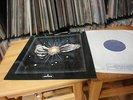 FLOCK INSIDE OUT 1975 PROG UK LP 1ST PRESS MINT  MERCURY