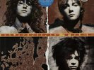Burning Tree Burning Tree vinyl LP album record UK 4666331 CBS 1990