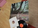 FAT MATTRESS SAME LP 1969 MINT GIMMIX COVER UK TOP RARE