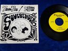 Soulbenders - Seven and Seven Is / Petals ? RARE MICHIGAN GARAGE FENTON