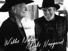 Willie Nelson - Django and Jimmie [New Vinyl LP]