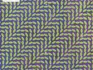 Animal Collective: Merriweather Post Pavilion (2-LPs-180GV)