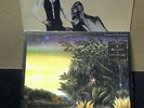 Two vintage FLEETWOOD MAC Vinyl albums. RUMOURS. TANGO IN THE NIGHT.