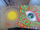 13th Floor Elevators LP RAD 13 1978 EASTER EVERYWHERE RAD15 1979 NM