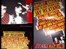ANGRY ANGLES LP Red Vinyl w/poster punk jay reatard lost sounds reatards goner