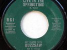 HEAR: BUZZSAW LIVE IN THE SPRINGTIME GRAGE FUZZ PSYCH 45 ON RCI S.F. BAY AREA