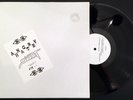 SLOTH / ANGRY HATE - Split LP 2000 #79/200 Anal Cunt AxCx Sludge Noise Punk KBD