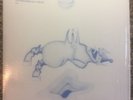 Devendra Banhart Ape In Pink Marble LP + Autographed Art Print SOLD OUT
