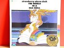 Strawberry Alarm Clock The World In A Sea Shell 12