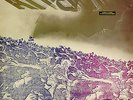 Attention L'Armée, ATARPOP 73, Le Collectif Le Temps Des Cerises, 33T, C202