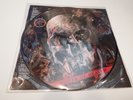 SLAYER South of Heaven Picture Disc LP Record Album MINT