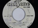 Reggae 45 WILLOWS Send Another Moses on Coxsone