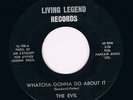 EVIL whatcha gonna do about it / always running HEAR  LIVING LEGEND 60s GARAGE