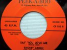 SMOKEY ARMEN & SCHOONERS 45 BABY WHAT AM I GONNA DO / Say you Love me VG++ e0689
