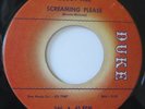 Buddy Ace-Screaming Please/What Can-Rare Original Northern Soul 45-Duke-VG+ HEAR