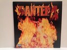 LP VINYL Pantera - Reinventing The Steel 2000 M/M-   £20 off starting price