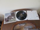 Edie Brickell & New Bohemians: Ghost Of A Dog LP: RARE NM Vault 1st Press Vinyl