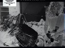 Nirvana - Bleach LP Vinyl DL NEW