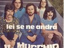 IL MUCCHIO