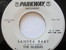 The Gleems - Doo Wop - Sandra Baby - VG+ - Parkway Promo - 45