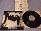 Saccharine Trust Paganicons ORIGINAL Vinyl LP flipper minutemen rudimentary peni