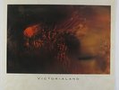 Cocteau Twins - Victorialand LP - 4AD UK VG+
