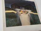 Cocteau Twins Garlands LP UK 4AD CAD 211 A1/B1 First Pressing 1982 UK Release