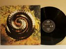 Nine Inch Nails Closer LP 1994  TVT/Island Records 1st Pressing Made in UK